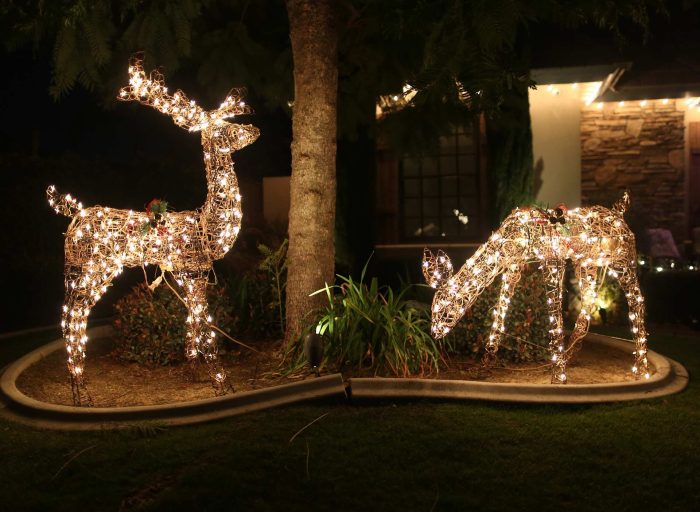 Outdoor Lawn Decor Christmas Festive Yard Ideas